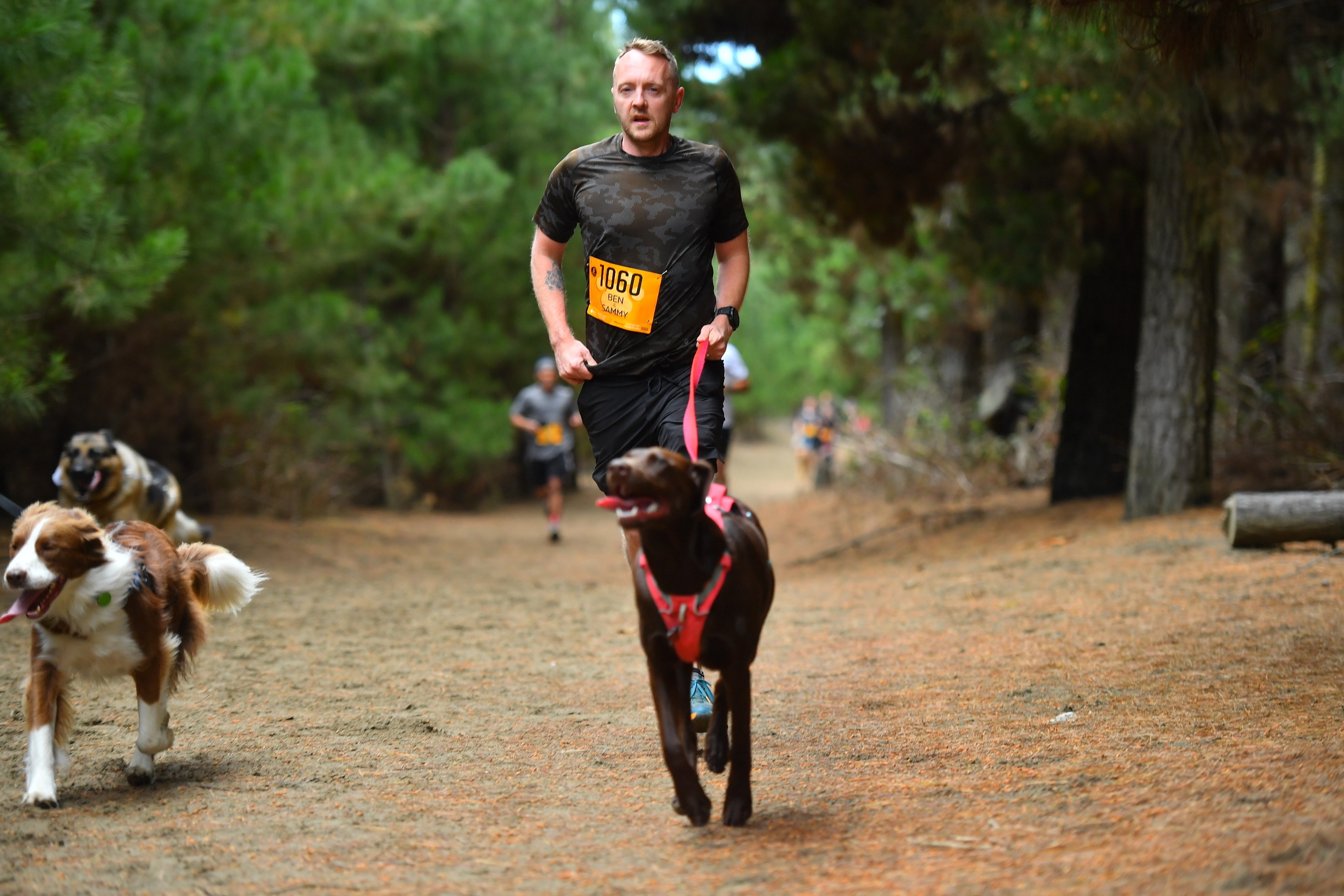 Ben Ford running a forest trail race, bib 1060, with his dog Sammy on a lead beside him.