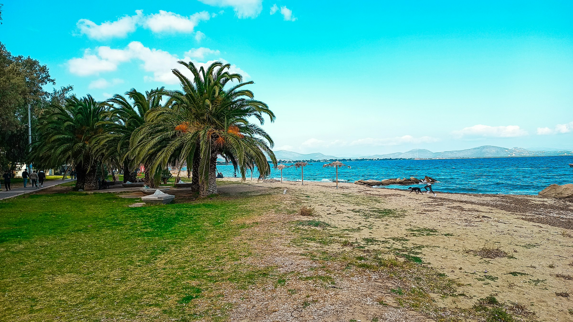Palms and the beach at Nea Makri. The course runs through the town at about 9.5 km, on the flat before the long climb. Photograph: Stephen Montagne, Unsplash.