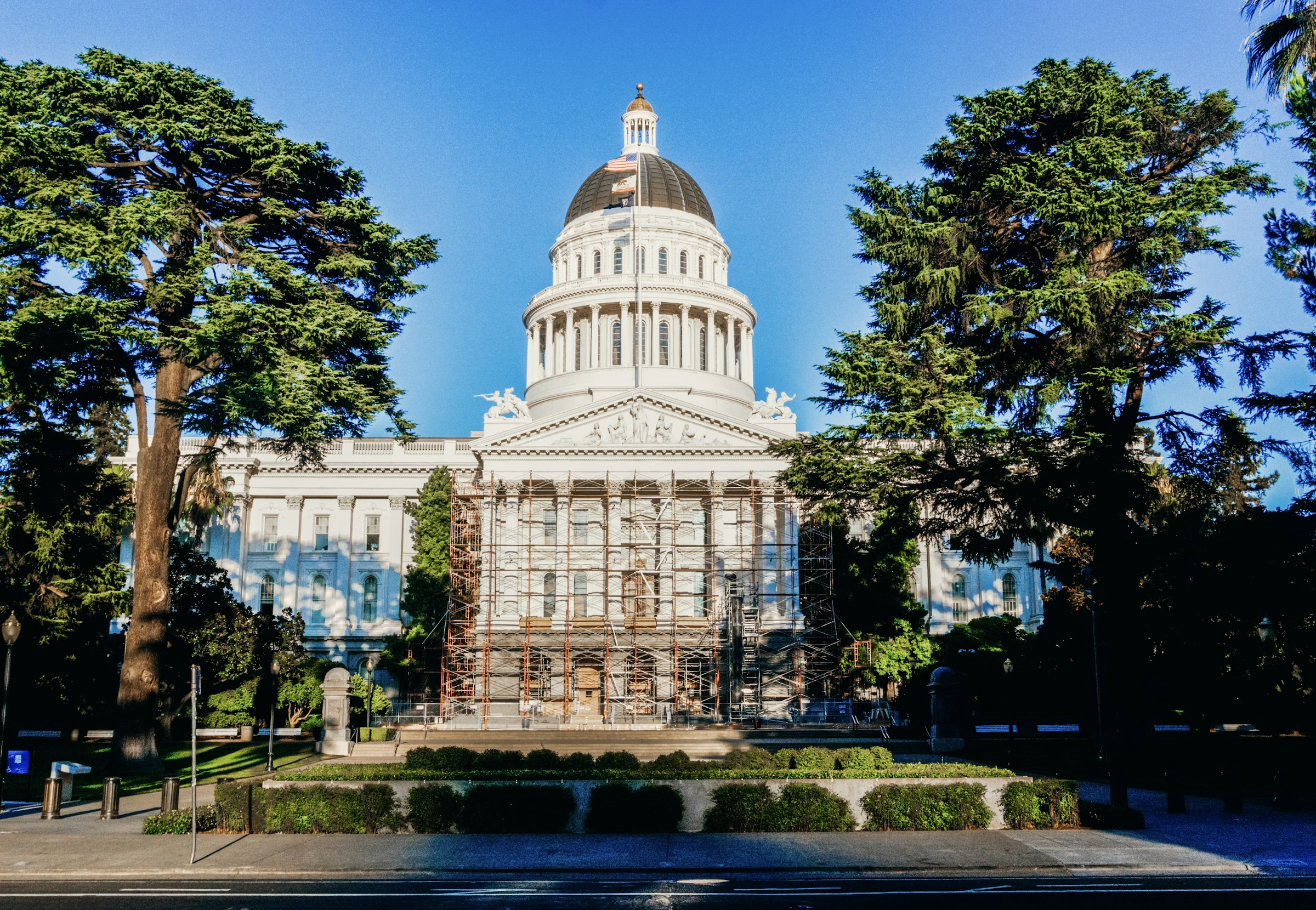 The white domed State Capitol in Sacramento between tall dark trees, under a clear blue sky.