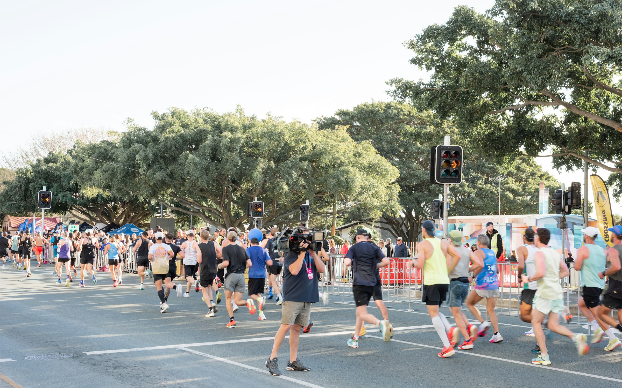 Marathon runners streaming along a closed road under big fig trees, a television camera operator walking among them.
