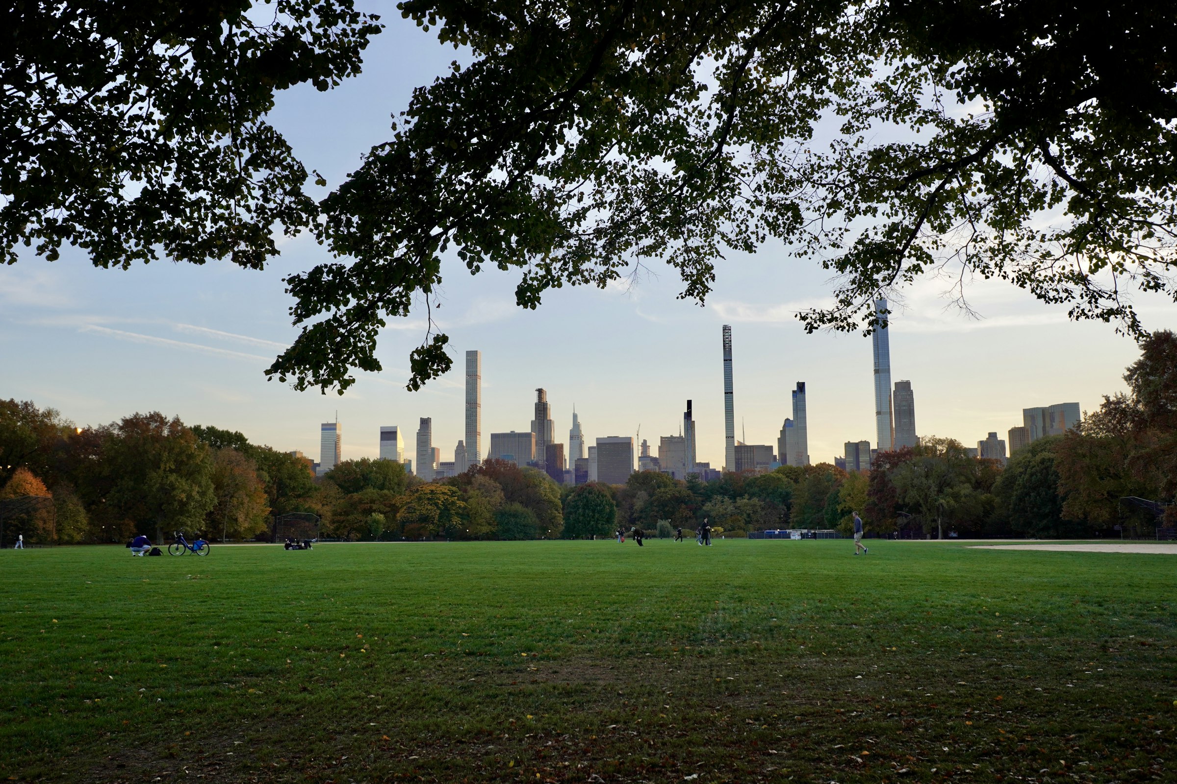 The Manhattan skyline seen across the open grass of Central Park.