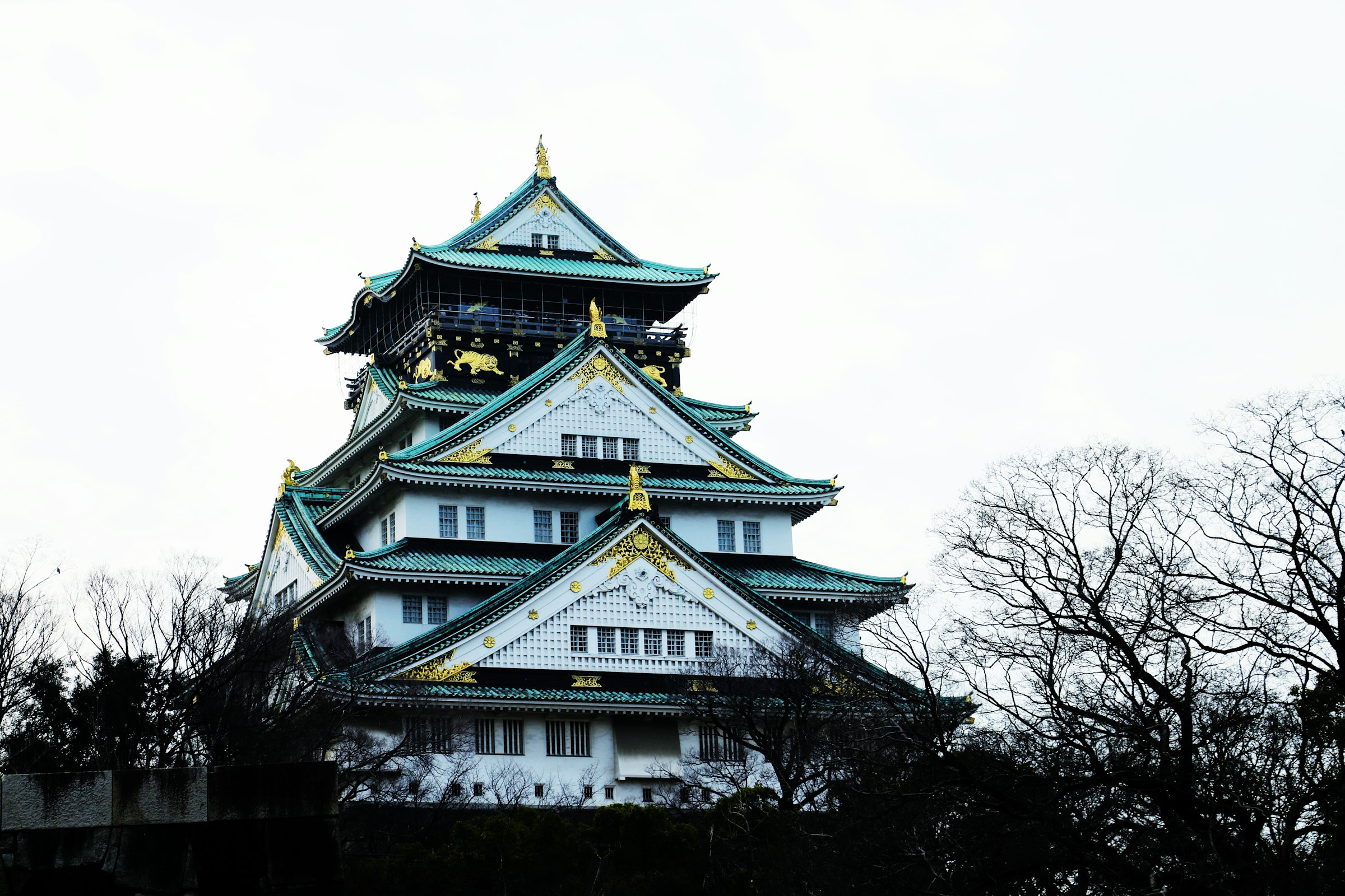 Osaka Marathon. Photograph: Edmund Lou, Unsplash.