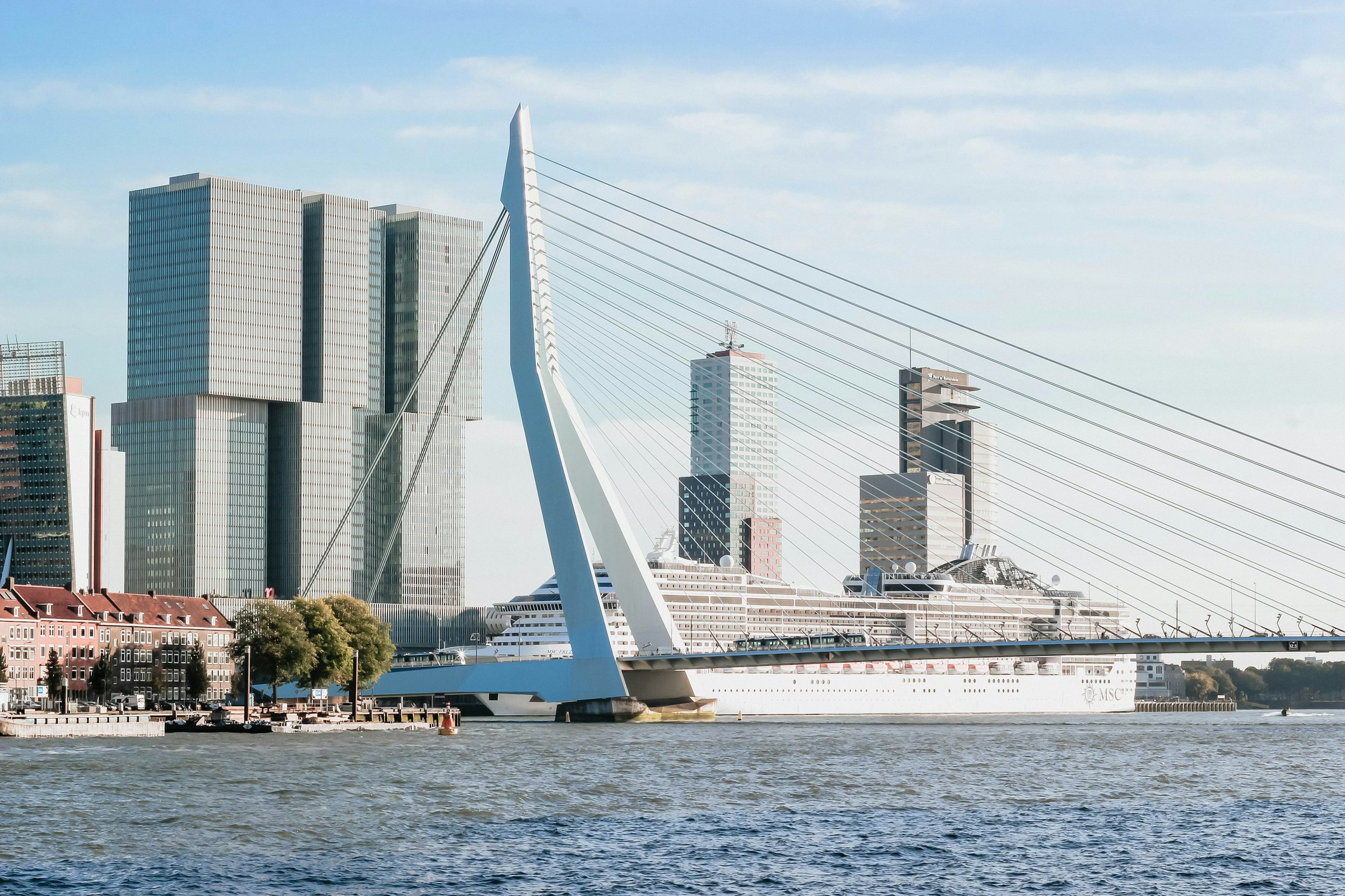 Rotterdam Marathon. Photograph: micheile henderson, Unsplash.