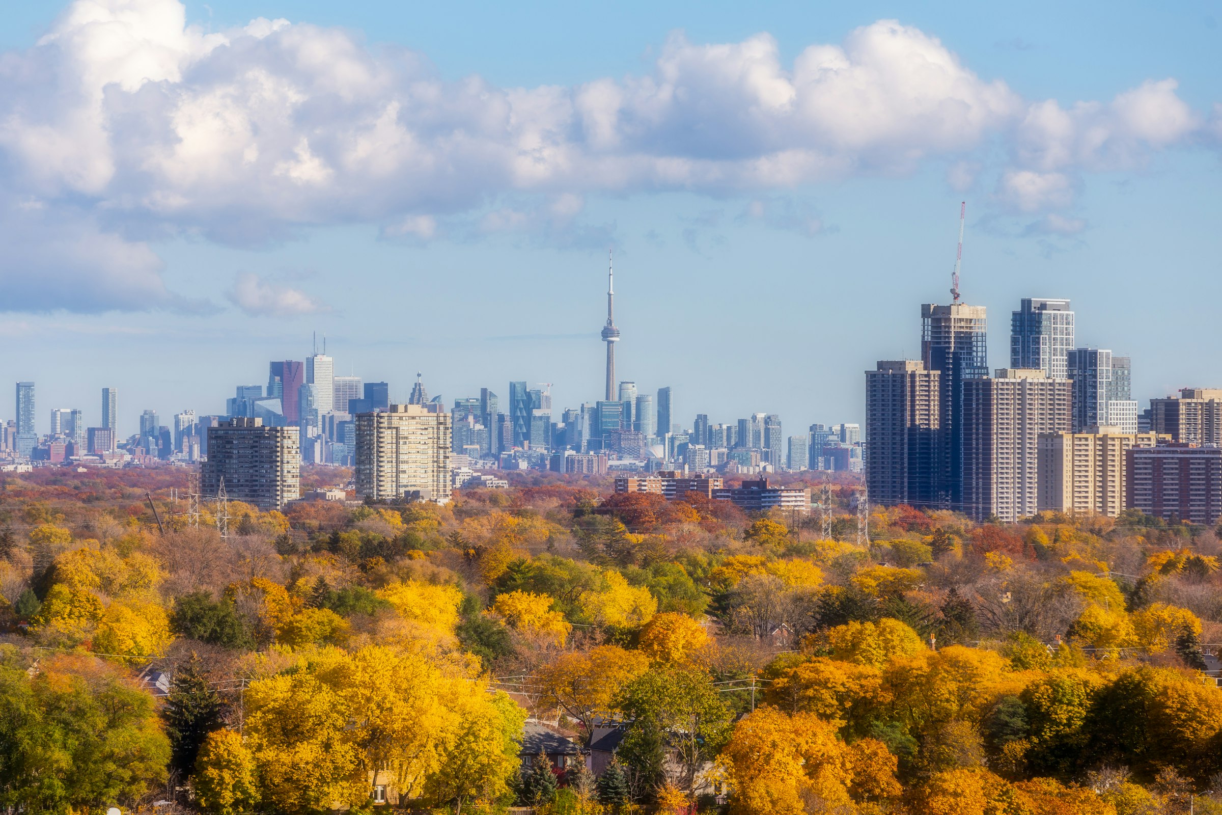 Downtown over October trees. The course comes back into the city from the east to finish on Bay Street. Photograph: Venrick Azcueta, Unsplash.