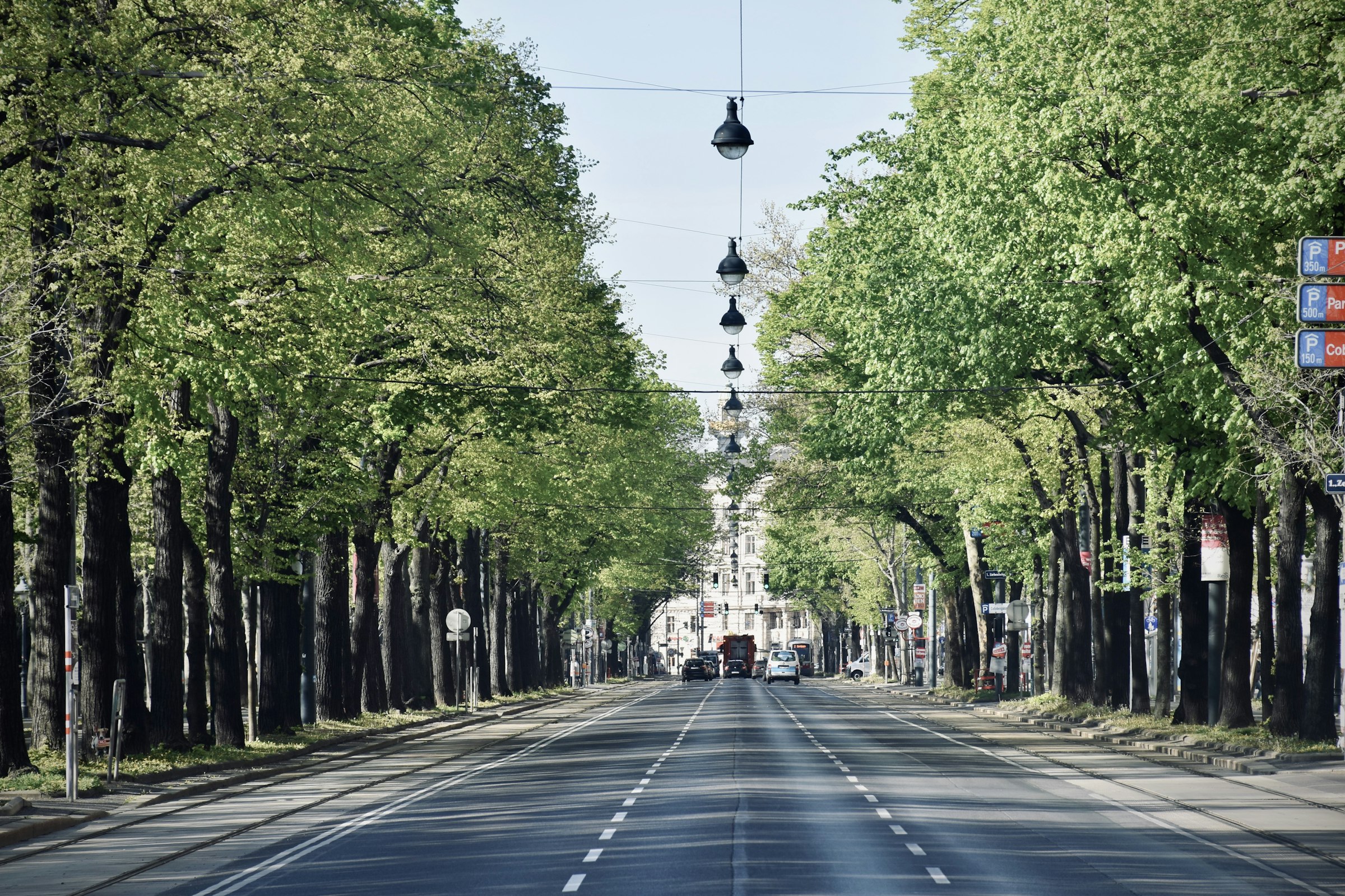 A wide, nearly empty boulevard running between two rows of trees in fresh spring leaf.
